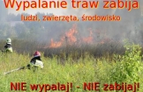 OGŁOSZENIE