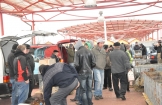 Raj dla miłośników, hodowców i każdego, kto lubi ptaki  i zwierzęta