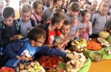 Publiczna Szkoła Podstawowa w Połańcu uczestniczy w projekcie: ,,Zdrowo jem, więcej wiem !”
